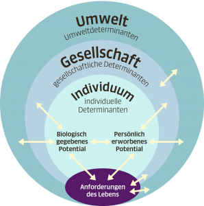 Grafische Darstellung des Meikirch-Modells